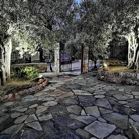 Elaion Thea-Nies Villa Sourpi Buitenkant foto