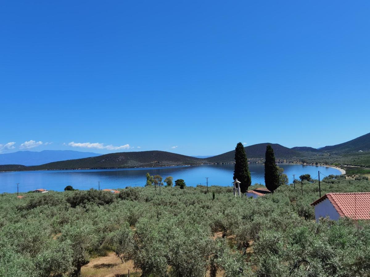 Elaion Thea-Nies Villa Sourpi Buitenkant foto