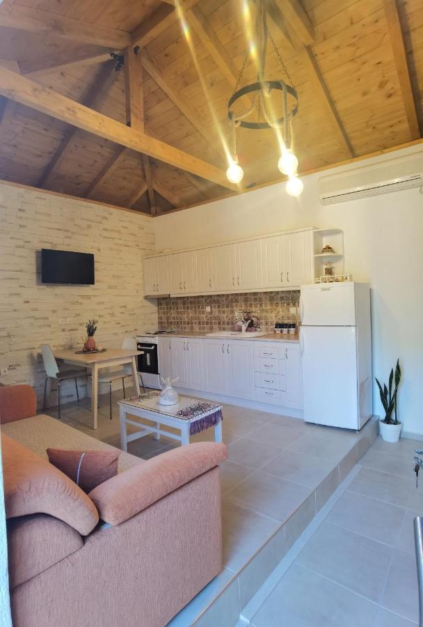 Elaion Thea-Nies Villa Sourpi Buitenkant foto