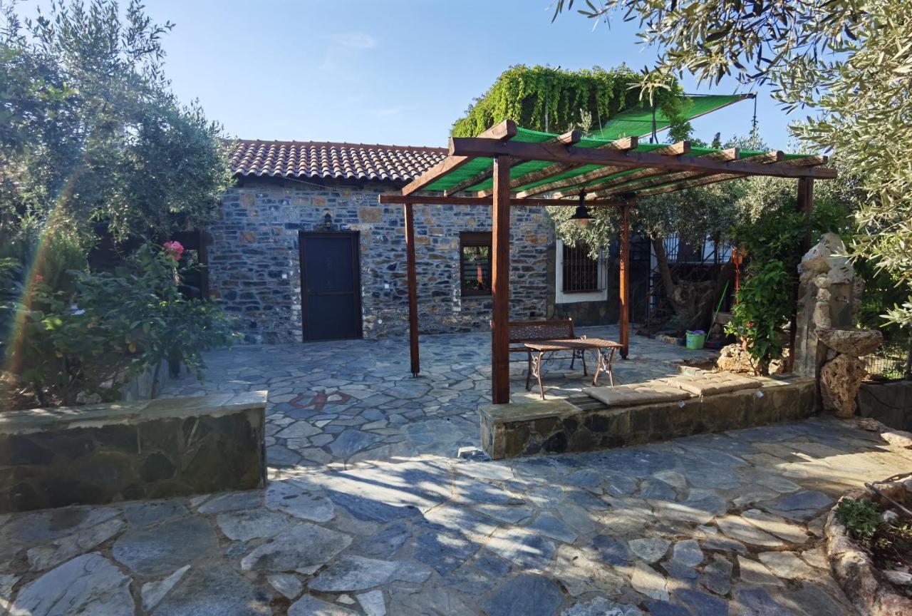Elaion Thea-Nies Villa Sourpi Buitenkant foto