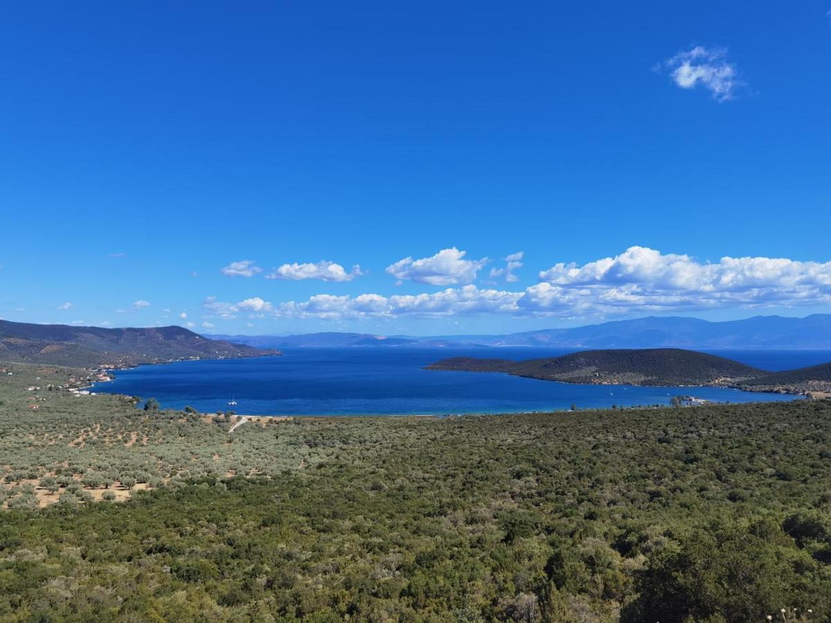 Elaion Thea-Nies Villa Sourpi Buitenkant foto