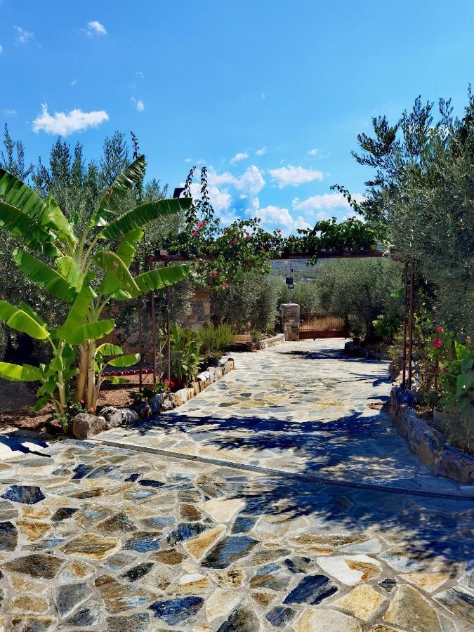 Elaion Thea-Nies Villa Sourpi Buitenkant foto