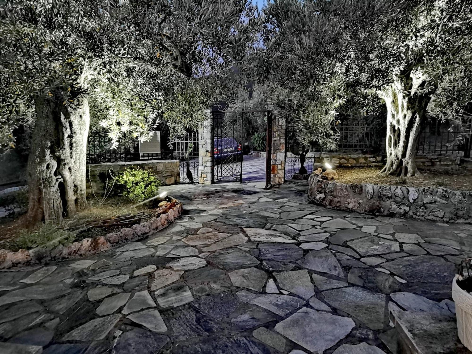 Elaion Thea-Nies Villa Sourpi Buitenkant foto